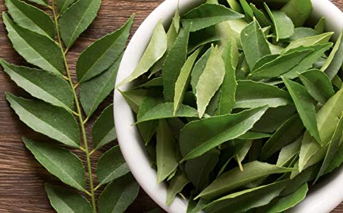 Fresh Curry Leaves (Small)